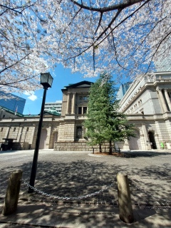 ����ƍ�🌸