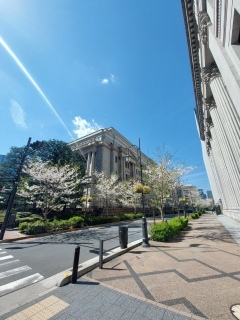 �l�͑S�ď���😂