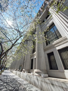 ���V�C�ǂ������f����🌸