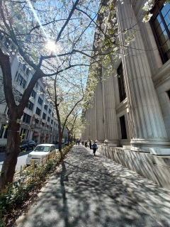 �T�N�T�N���Ԍ�10����😊�ł����B