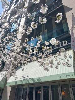 ���A�^��ۂŉ���❤