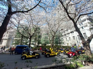 ����̃}���I😊�����͊����ߑւ��I�����B