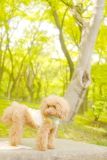 �k�̊ی����ł�Fran����ł��͂�💓