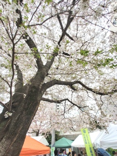 �Ŋ�w�߂��̌����ō��Ղ�J�Â��Ă�