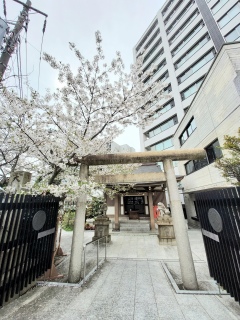 ���A����̉J�A���ɂ��ς��Ă����̂�,💖