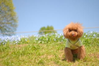 �y��������Fran����ł��͂�💓