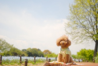 �l���t�B���o�b�N�ŏΊ��Fran����ł��͂�💓