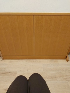 ���O���͗m���ł͖h���Ȃ��A���Ă��~�߂��K�v���āA