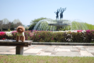 �t�������Ǔ���J�����ł�Fran����ł��͂�💓