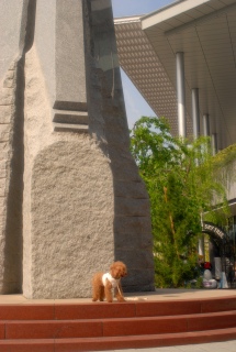 �X�J�C�c���[���Ԃł�Fran����ł��͂�💓