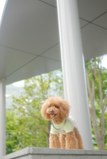 �Ճm��q���Y�ł�Fran����ł��͂�💓