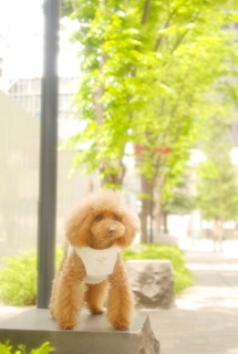 �c�����U������Fran����ł��͂�💓