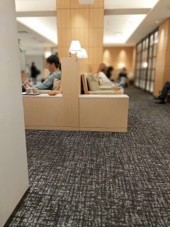 �����͋v���Ԃ�ɂ̂�т�o����🙌