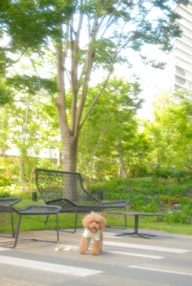 �Ճm��q���Y�ł�Fran����ł��͂�💓