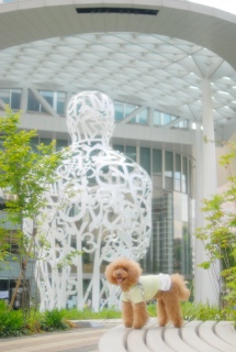 �I�u�W�F�̑O�ł��@����Fran����ł��͂�💓