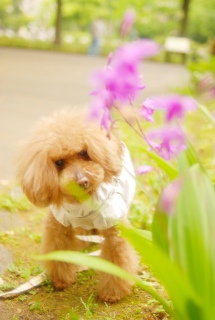 �������Fran����ł��͂�💓