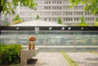 �ǂ��H�o���ĂȂ��ꏊ�ł�Fran����ł��͂�💓