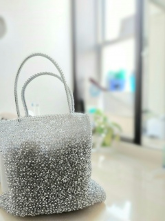 �A���e�v���}�̃V�[�Y������