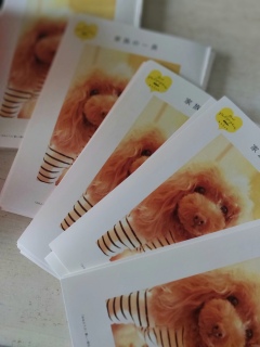 NIKON�̃J�^���O��Fran����f�ڂ��Ē��������́A�J�^���O������