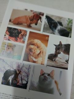 �����Fran����̃J�^���O�����̓��ł����B