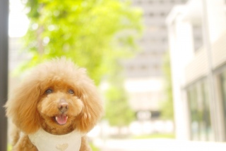 �Ί��Fran����ł��͂�💓