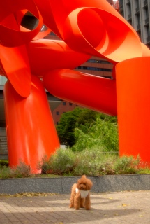 �ۂ̓��ł�Fran����ł��͂�💓