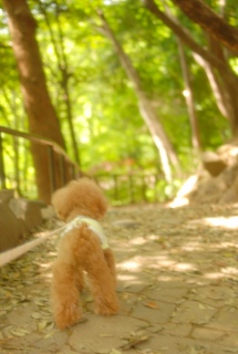 �ł̌����Ō��p��Fran����ł��͂�💓