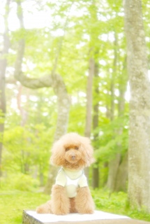 �V�΂̒��ł�Fran����ł��͂�💓