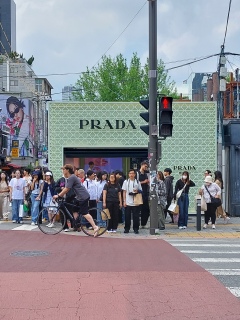 PRADA����������B���������̐l�̐��A�\���X���l�C���ē`���H