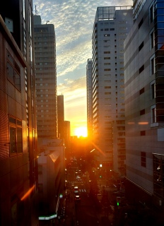 �������[�z���Y�킾����🌇