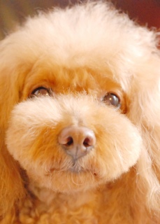 �A�b�v�`��Fran����ł��͂�💛
