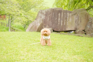 �ł̏�ł�Fran����ł��͂�💛