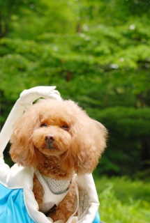 �L�����[�C���ł�Fran����ł��͂�💛