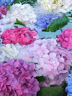 �吳���I�C���o�E���h0👍