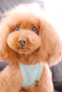 ����Fran����ł��͂�💛