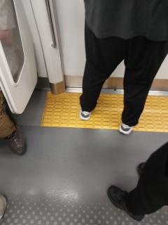 �ԓ��͂��̎������邠��̎G�Ѝ���