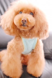�u���[�J���[������������Fran����ł��͂�💛