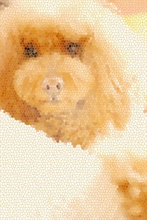 ���H����Fran����ł��͂�💛