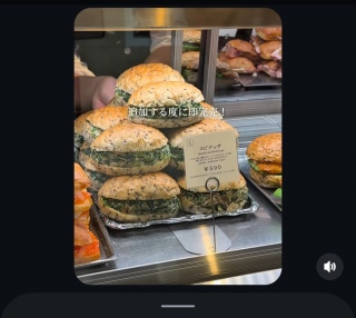 ��������������B�l�C�炵���B