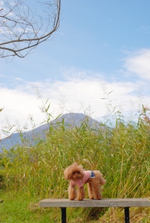 �x�m�R�o�b�N�Ɂ`��Fran����ł��͂�💛