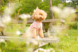 �R���ΔȂł�Fran����ł��͂�💛