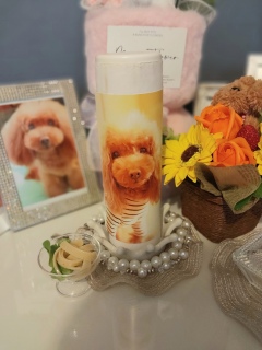 ���̍����̃����`�́A�������N���[���\�[�X�X�p�Q�b�e�B�������̂�Fran����ƈꏏ��🥰