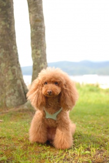 �R���΂��o�b�N�Ɂ`��Fran����ł��͂�💓