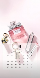 DIOR����9���̕ǎ�����