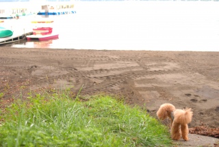 �W�����A�A1�P������P�Q���܂Ń����e�i���X�x�فA�A