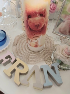 ���r���O��Fran����R�[�i�[���t�L�t�L🥰
