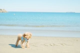 �ɓ��̊C���o�b�N�Ɂ`��Fran����ł��͂�💓